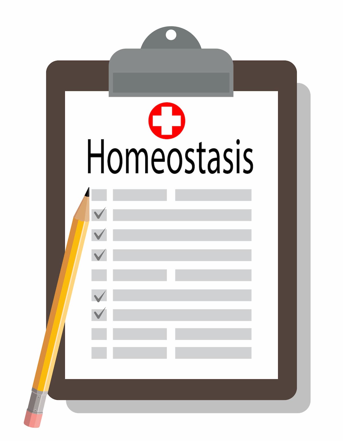 clipboard with a Homeostasis checklist