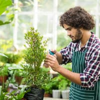 Side view of male gardener pruning potted indoor plants