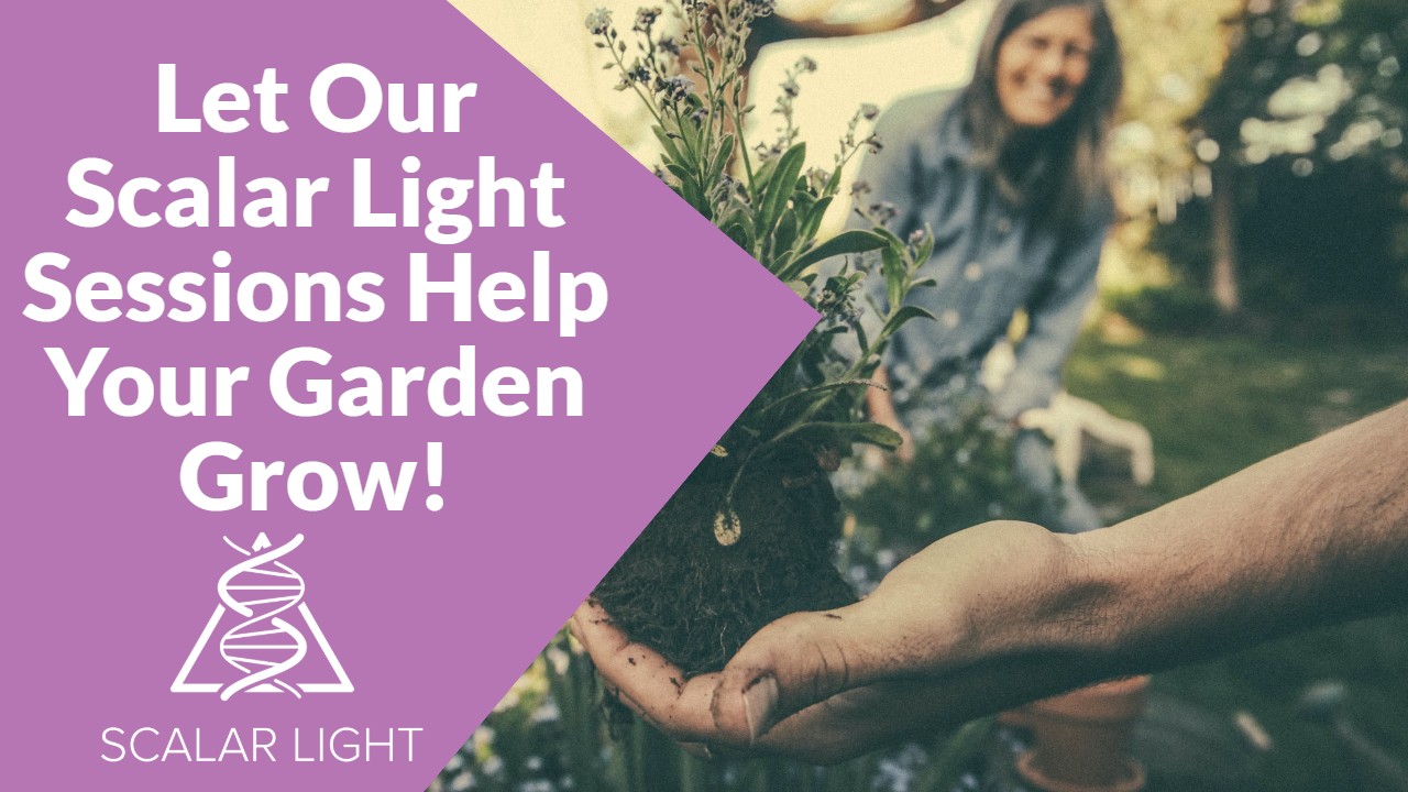 Let Our Scalar Light Sessions Help Your Garden Grow